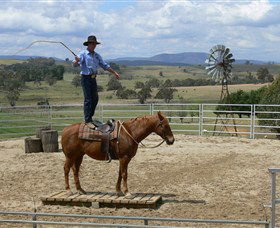 Boggy Creek Shows - Darwin Holiday 0