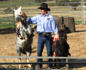 Boggy Creek Shows - Darwin Holiday 2