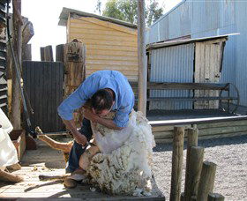 Boggy Creek Shows - Darwin Holiday 4