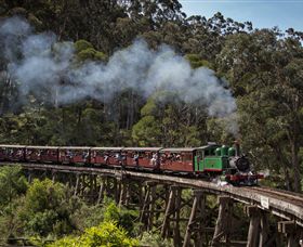 Puffing Billy Steam Railway - Darwin Holiday 0