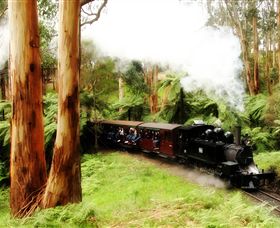 Puffing Billy Steam Railway - Darwin Holiday 5