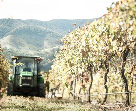 Logan Wines - Darwin Holiday 5