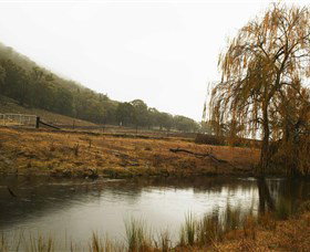 Logan Wines - Darwin Holiday 6