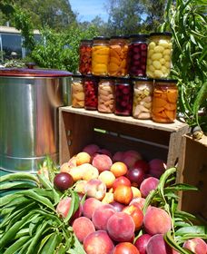 Rayner's Orchard - Darwin Holiday 8