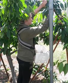 Mouat's Farm - Darwin Holiday 4