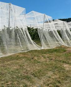 Mouat's Farm - Darwin Holiday 5
