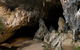 Abercrombie Karst Conservation Reserve - thumb 2
