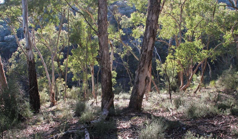 Arkell NSW Darwin Holiday