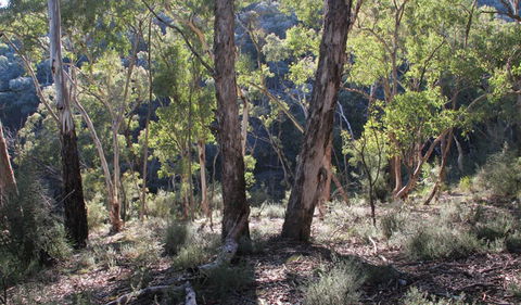 Mount Gray Walking Track - Darwin Holiday 0