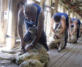 The Woolshed At Jondaryan - Darwin Holiday 1