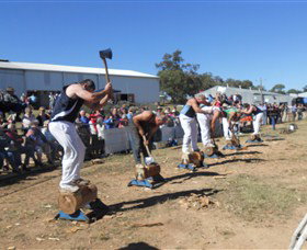 Quirindi Rural Heritage Village - Darwin Holiday 1