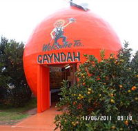 Gayndahs Big Orange - Darwin Holiday