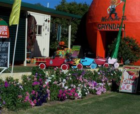 Gayndahs Big Orange - Darwin Holiday 1
