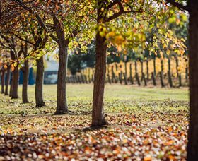 Crittenden Estate - Darwin Holiday 4