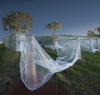 Toppers Mountain Wines - Darwin Holiday