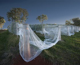 Toppers Mountain Wines - Darwin Holiday 0