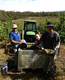 Toppers Mountain Wines - Darwin Holiday 2
