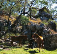 Coomba Falls - Darwin Holiday