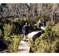 Hume and Hovell Walking Track - Henry Angel Trackhead - Darwin Holiday
