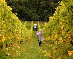 Polperro Winery - Darwin Holiday 7