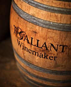 T'Gallant Winemakers - Darwin Holiday 0