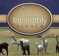 Marchmont Park Alpacas - Darwin Holiday
