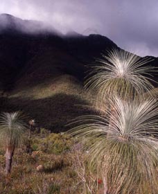 Bluff Knoll, Stirling Range National Park - Darwin Holiday 3