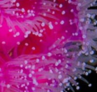 Yaringa Marine National Park - Darwin Holiday