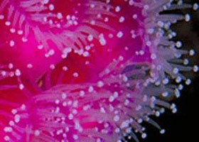 Yaringa Marine National Park - Darwin Holiday 0