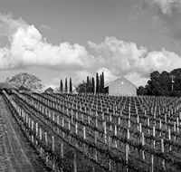 Willow Creek Vineyard - Darwin Holiday