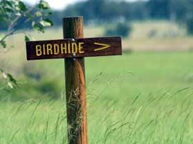 Cushnie ACT Darwin Holiday