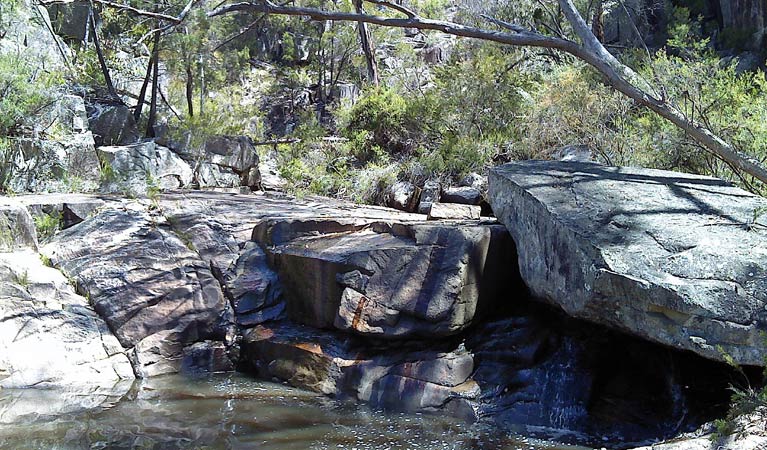 Wellington Vale NSW Darwin Holiday