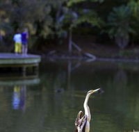 Birdwatching in the South Burnett - Darwin Holiday