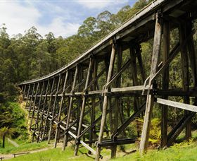 Noojee Trestle Bridge - Darwin Holiday 0