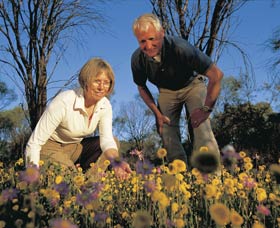 Canna ACT Darwin Holiday