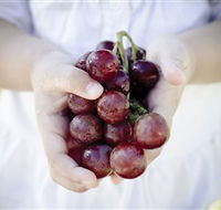 Granitevale  Estate Winery - Darwin Holiday