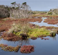French Island National Park - Darwin Holiday