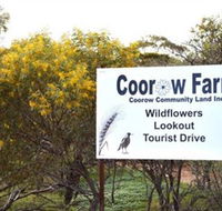 Coorow Farm Wildflower Trail - Darwin Holiday