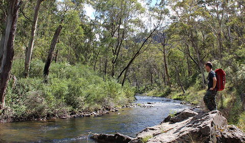 Yarrangobilly Caves - Darwin Holiday 1