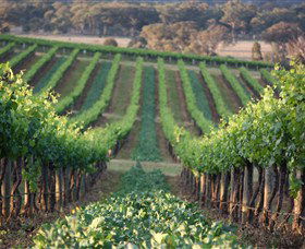 Two Rivers Wines - Darwin Holiday 1