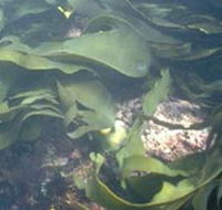 Churchill Island Marine National Park - Darwin Holiday