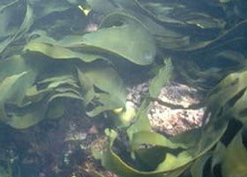 Churchill Island Marine National Park - Darwin Holiday 0