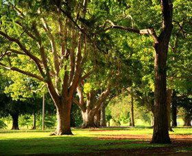 Queens Park, Toowoomba - Darwin Holiday 1