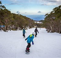 Mt Baw Baw Alpine Resort - Darwin Holiday