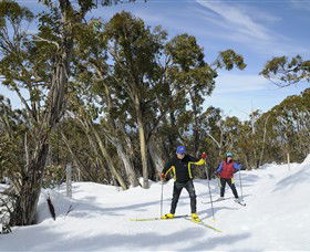 Mt Baw Baw Alpine Resort - Darwin Holiday 4