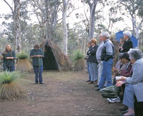 Dryandra Woodland - Darwin Holiday 2