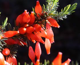 Mount Dale Walk Trail - Darwin Holiday 3