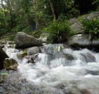 Washpool National Park - Darwin Holiday