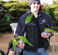 Canberra Walk In Aviary - Darwin Holiday