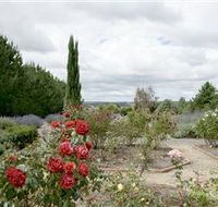 Crystal Brook Lavender Farm - Darwin Holiday